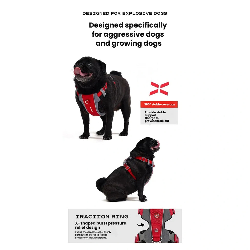 Black dog wearing a red EzyDog X-Link harness