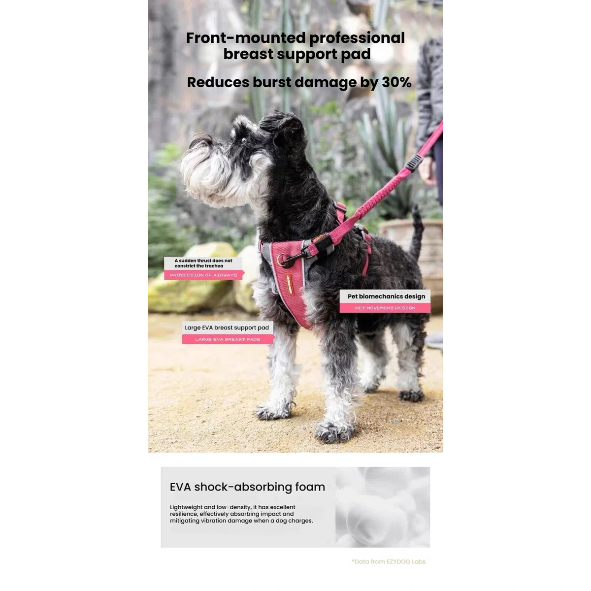 Dog wearing a pink X-Link harness with chest-padding detail