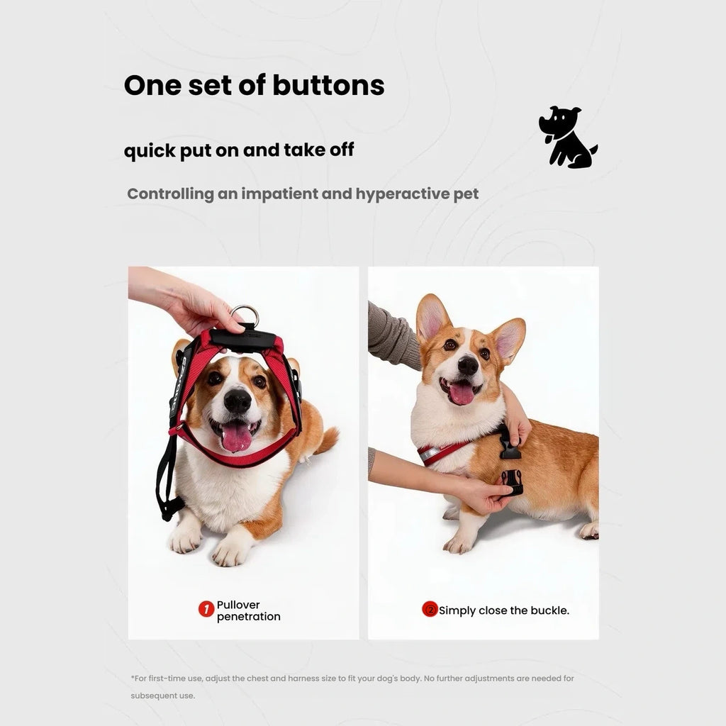 EzyDog Express Dog Harness.