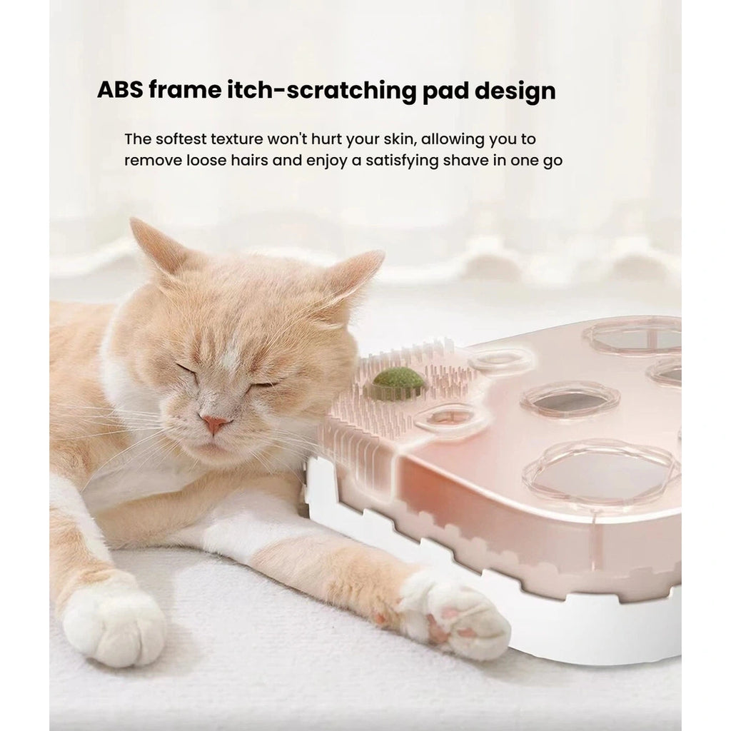 Ginger cat rubbing against the textured edge of the Petstar toy