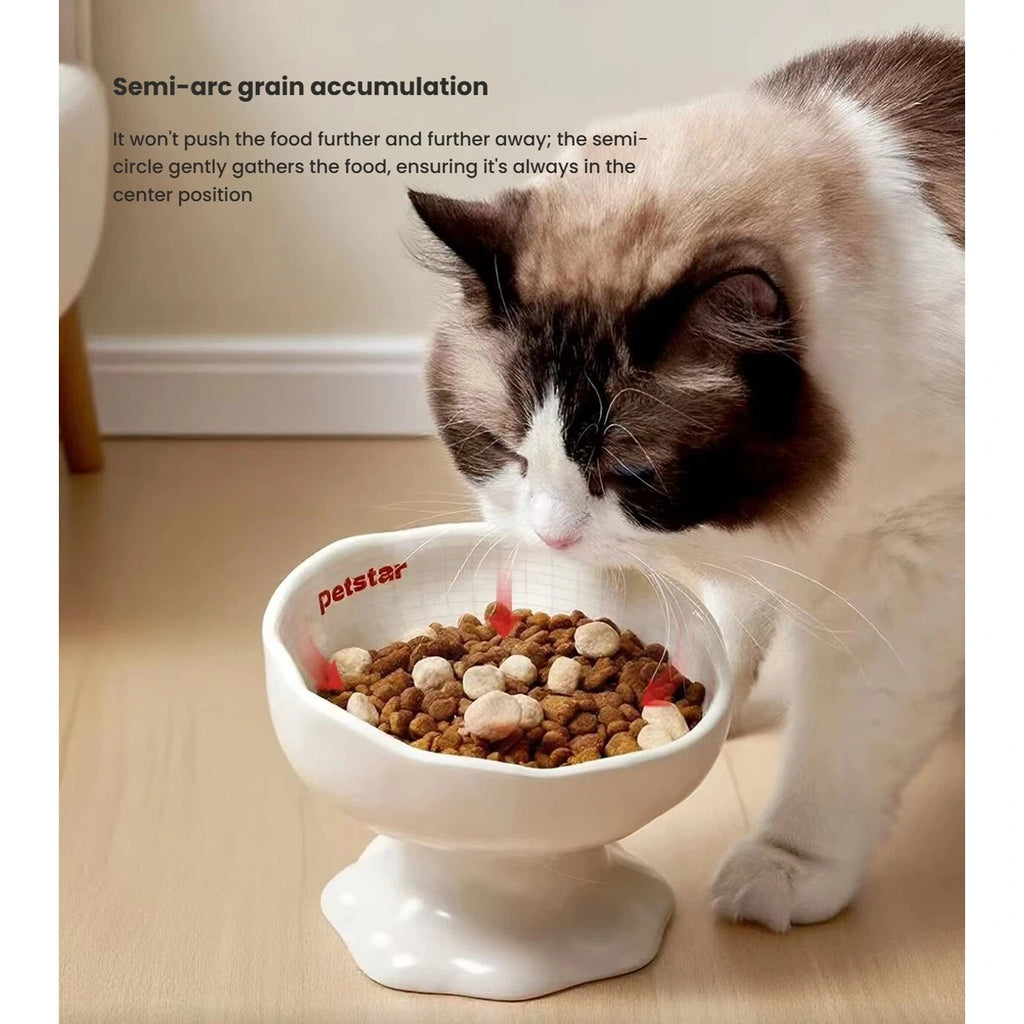 Cat eating kibble from the white raised Petstar bowl