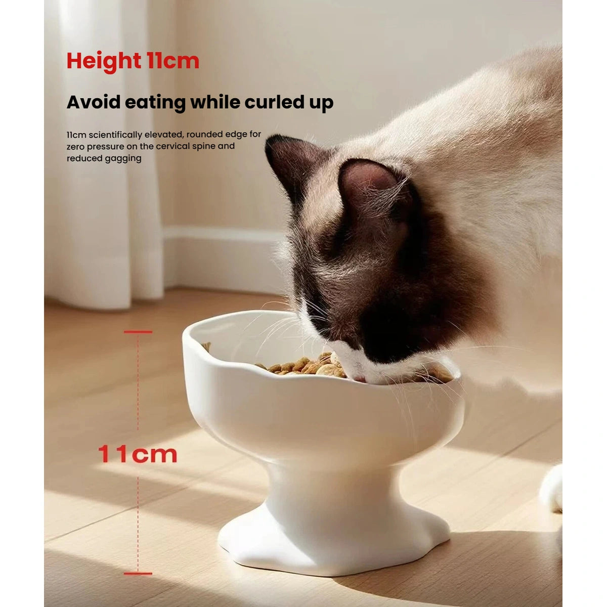 Cat eating from the Petstar bowl beside an 11 cm height label