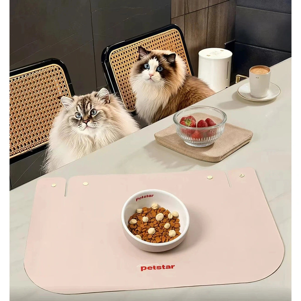 Petstar Elevated Ceramic Cat & Dog Bowl, Non-Spill Design