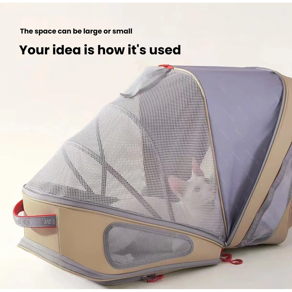 Cat inside the expanded mesh resting area of the Petstar carrier