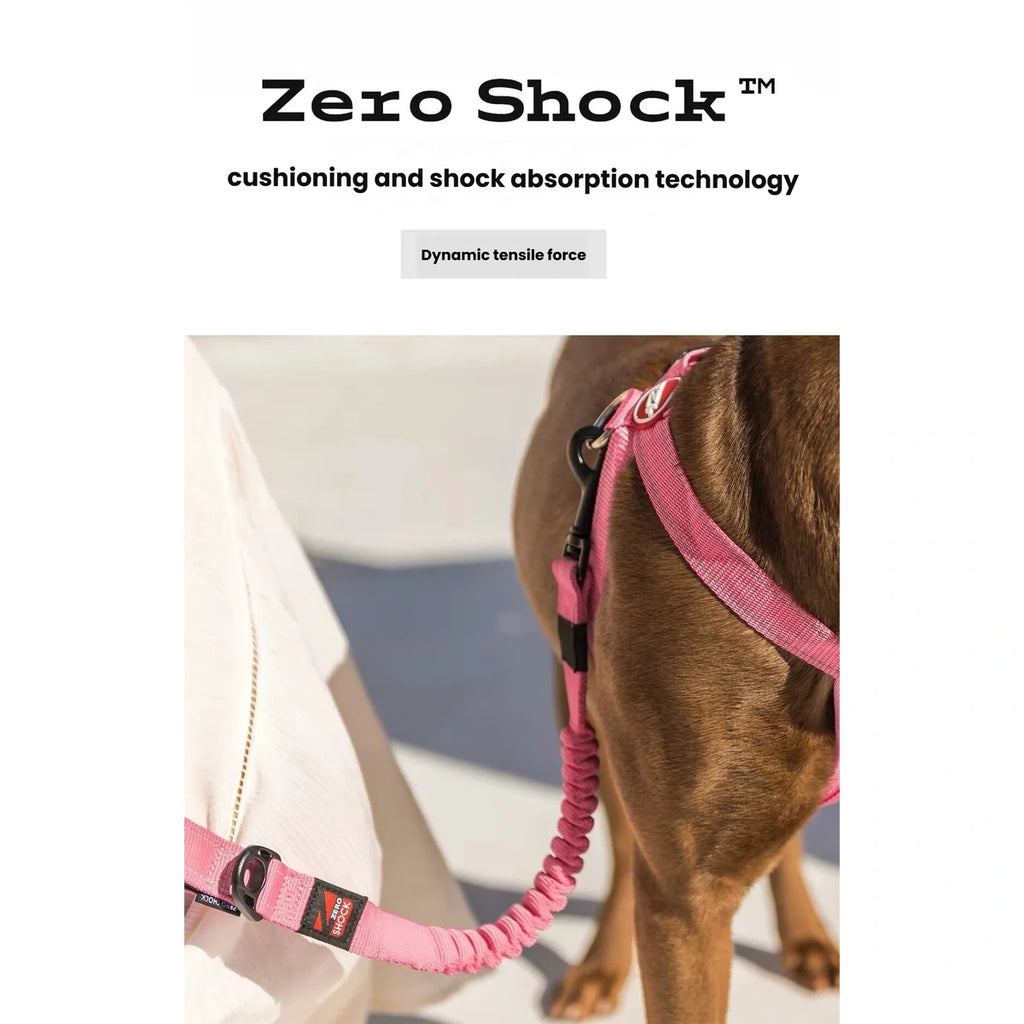 Pink EzyDog Zero Shock leash shown between a handler and a dog