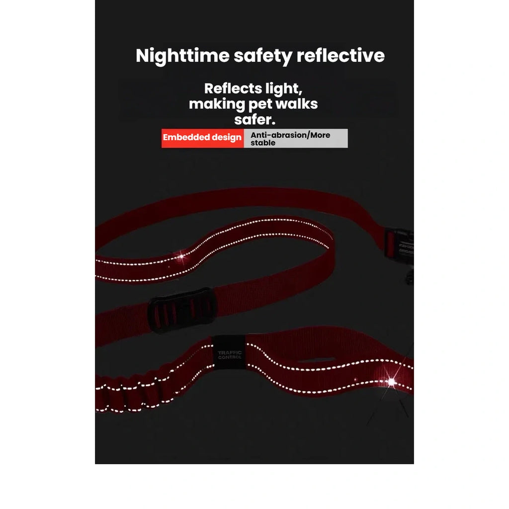 Reflective stitching highlighted along an EzyDog Zero Shock leash