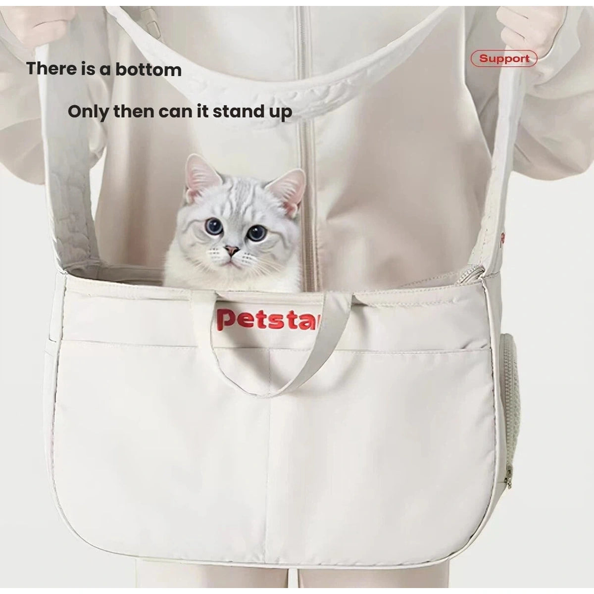 Cat sitting inside the Petstar tote, showing the supported carrier base