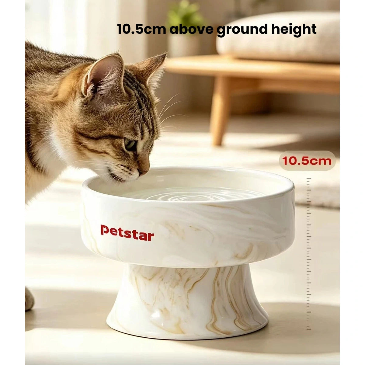 Cat beside the raised Petstar bowl with its 10.5 cm height labelled