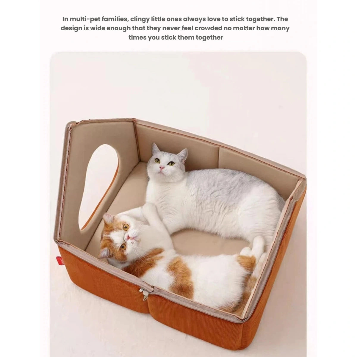 Two cats pictured in the Petstar Snow House with its roof removed