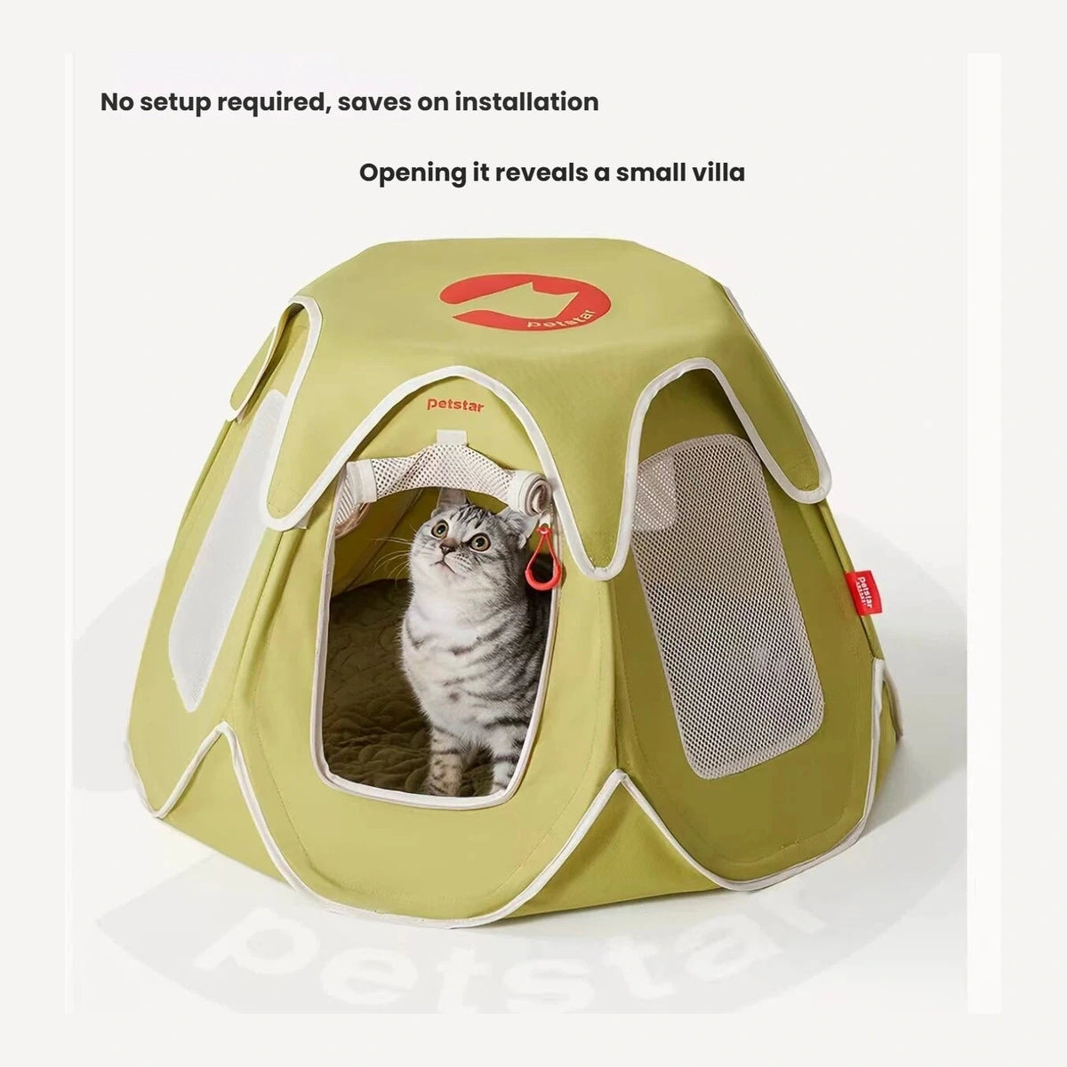 Petstar green cat tent with a tabby cat at the entrance