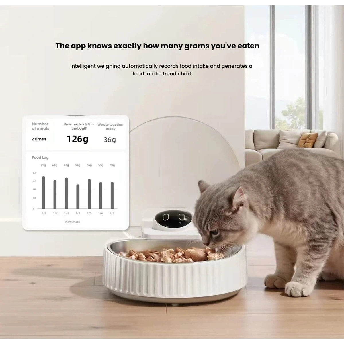 Cat eating from the Petwant F25-W beside an app food-intake chart