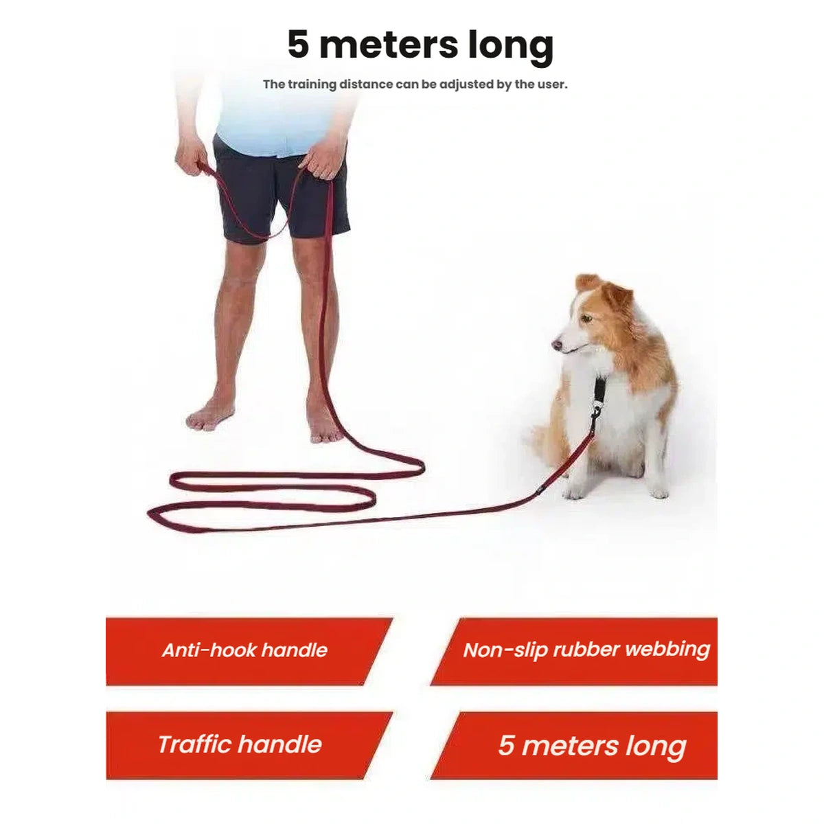 EzyDog Track n Train 5 metre training lead feature illustration