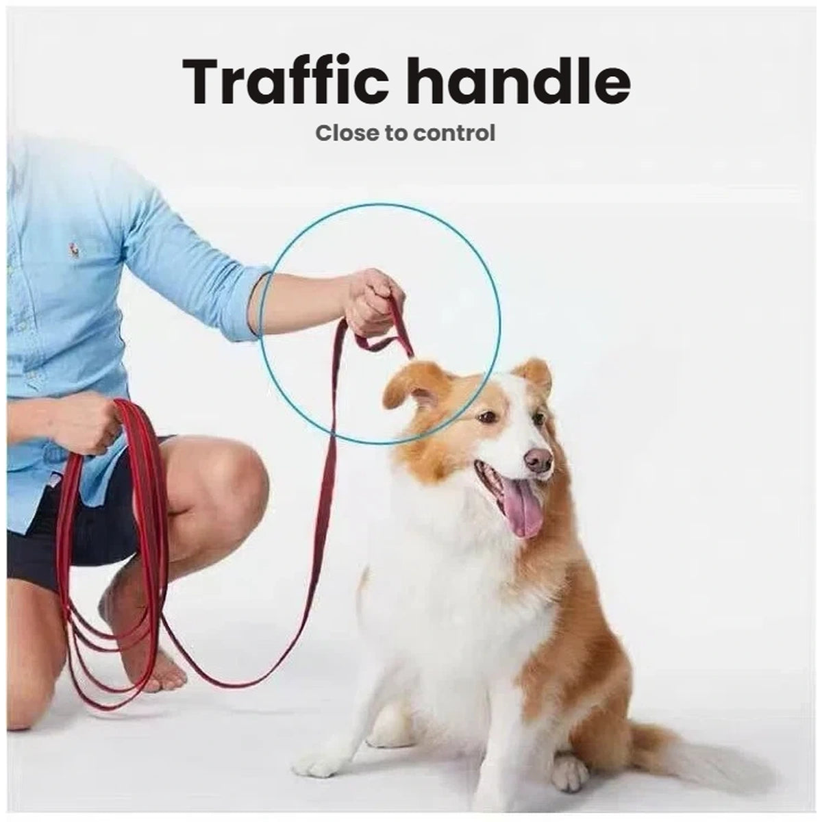 Handler holding the EzyDog Track n Train traffic handle close to a dog