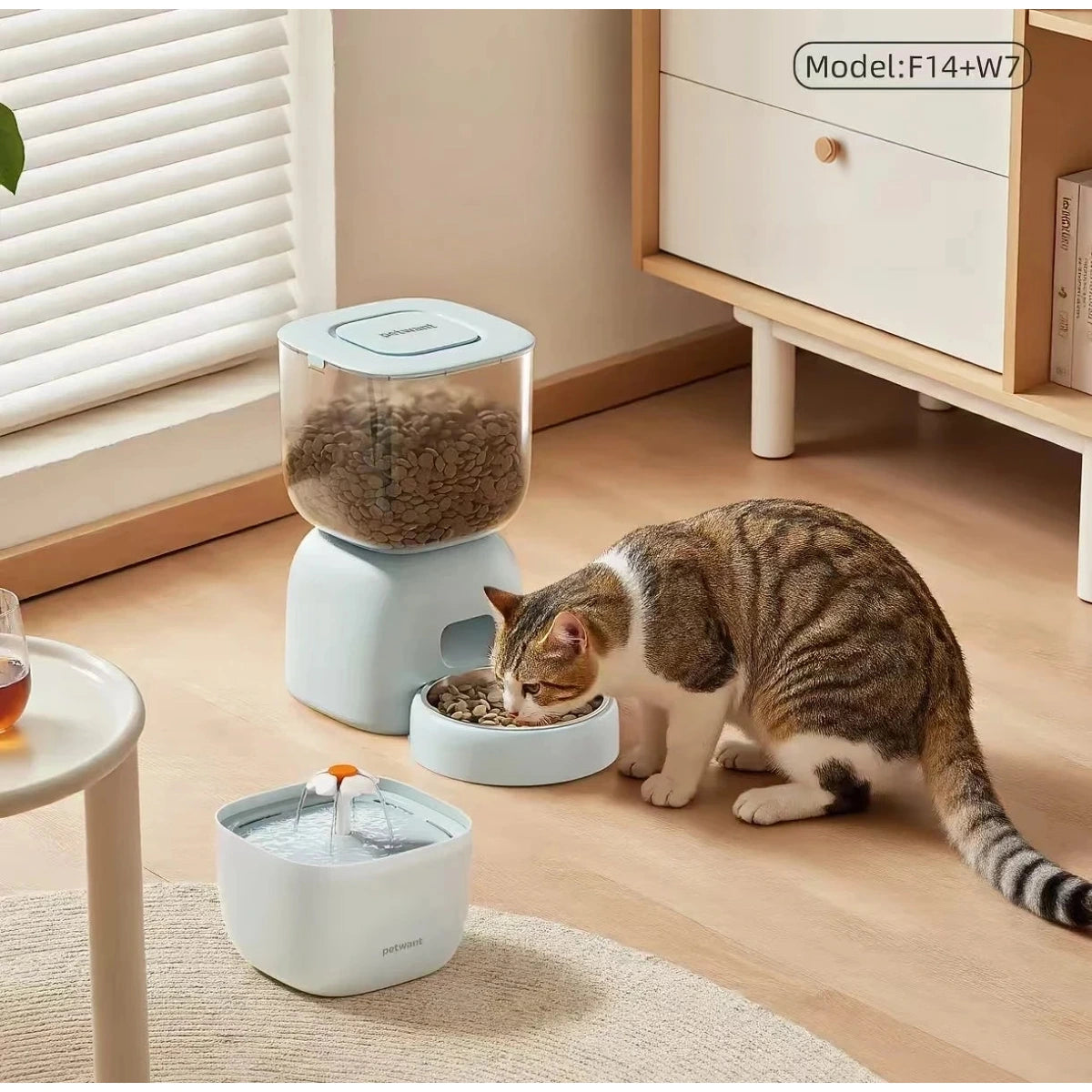 Petwant Automatic Cat & Dog Feeder, Timed & Portion Control