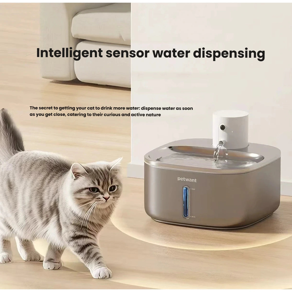 Cat approaching the Petwant W4 sensor-activated water fountain