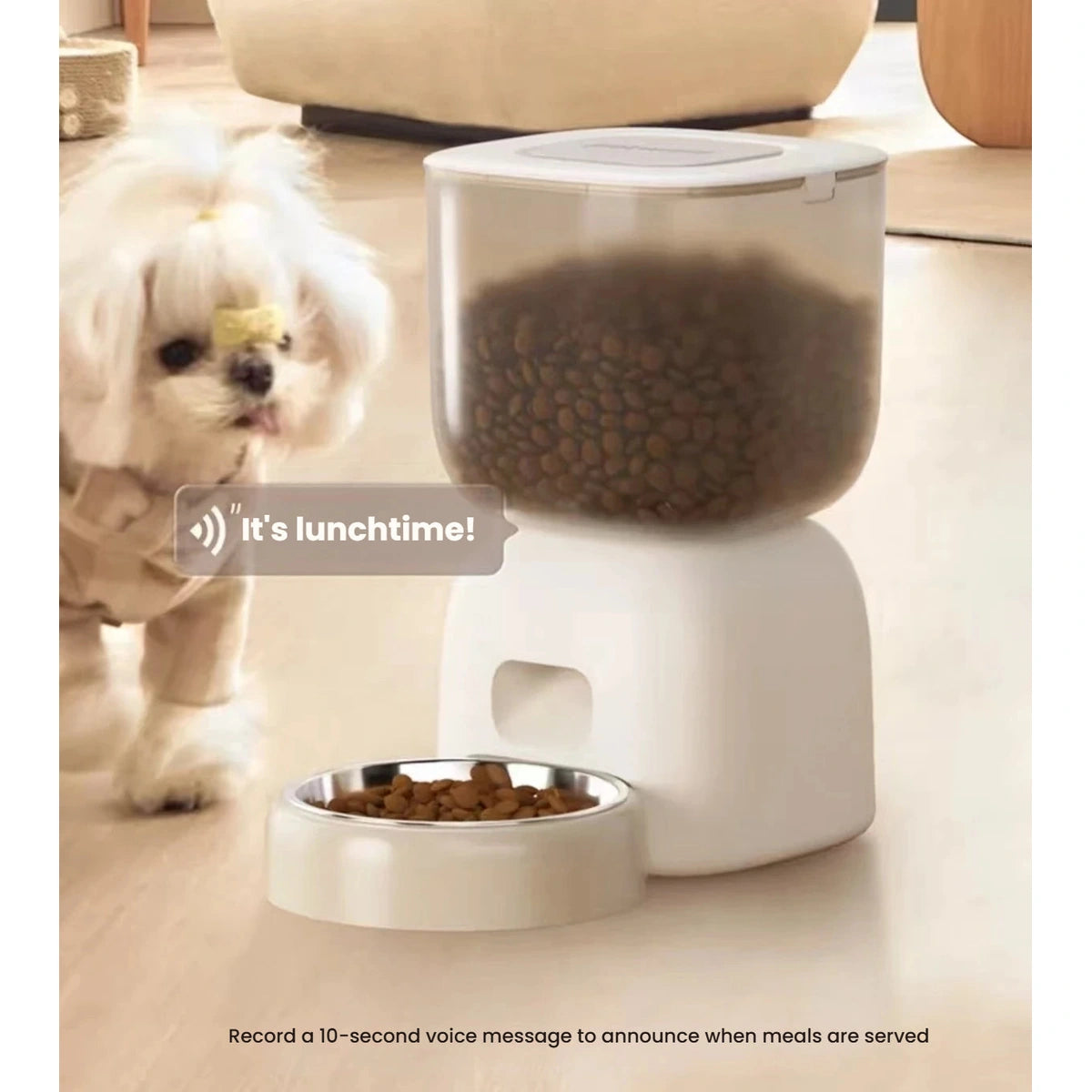 Small dog beside the Petwant feeder with voice-recording feature illustration