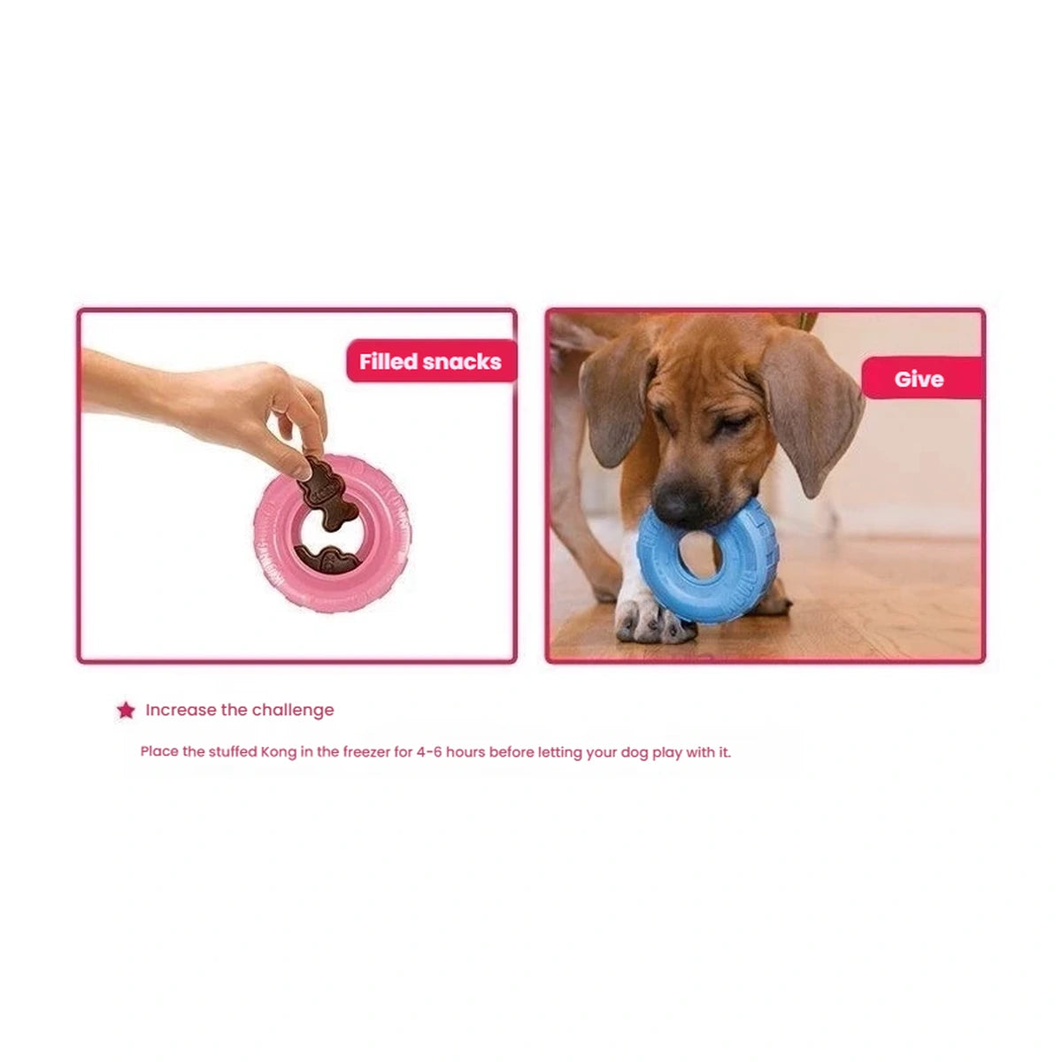KONG Tyre Puppy Toy Assorted