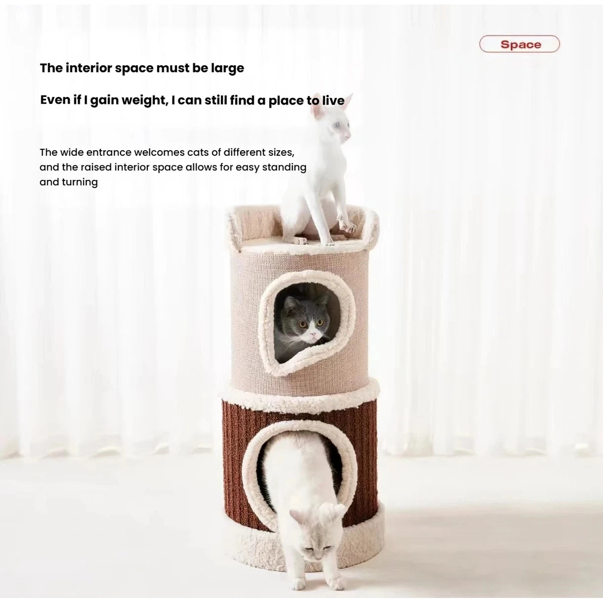 Cats using the upper perch and enclosed spaces in a Petstar modular cat house