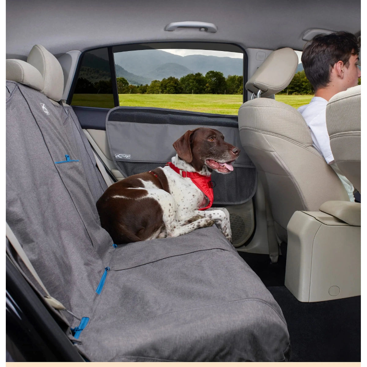 Kurgo door guard installed beside a dog on a protected rear car seat