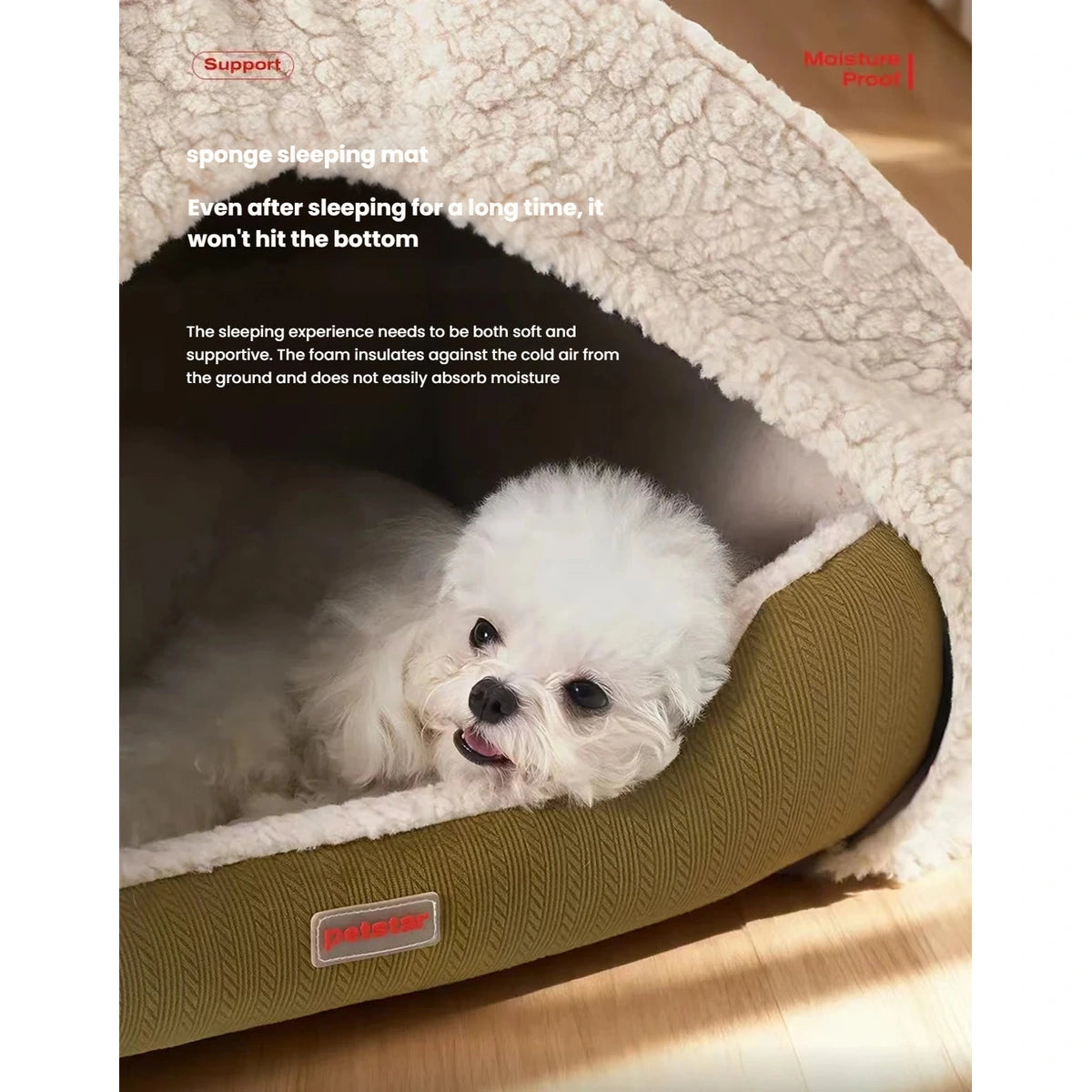 Small white dog resting on the cushioned base of a Petstar tent bed