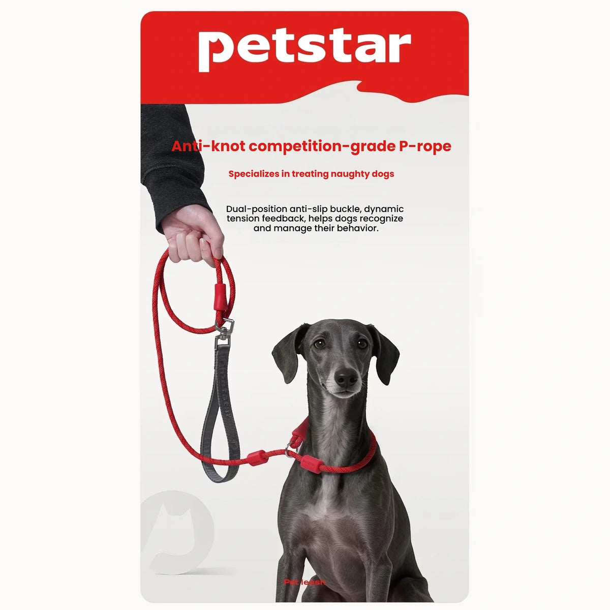 Person holding a red Petstar slip lead fitted to a black dog