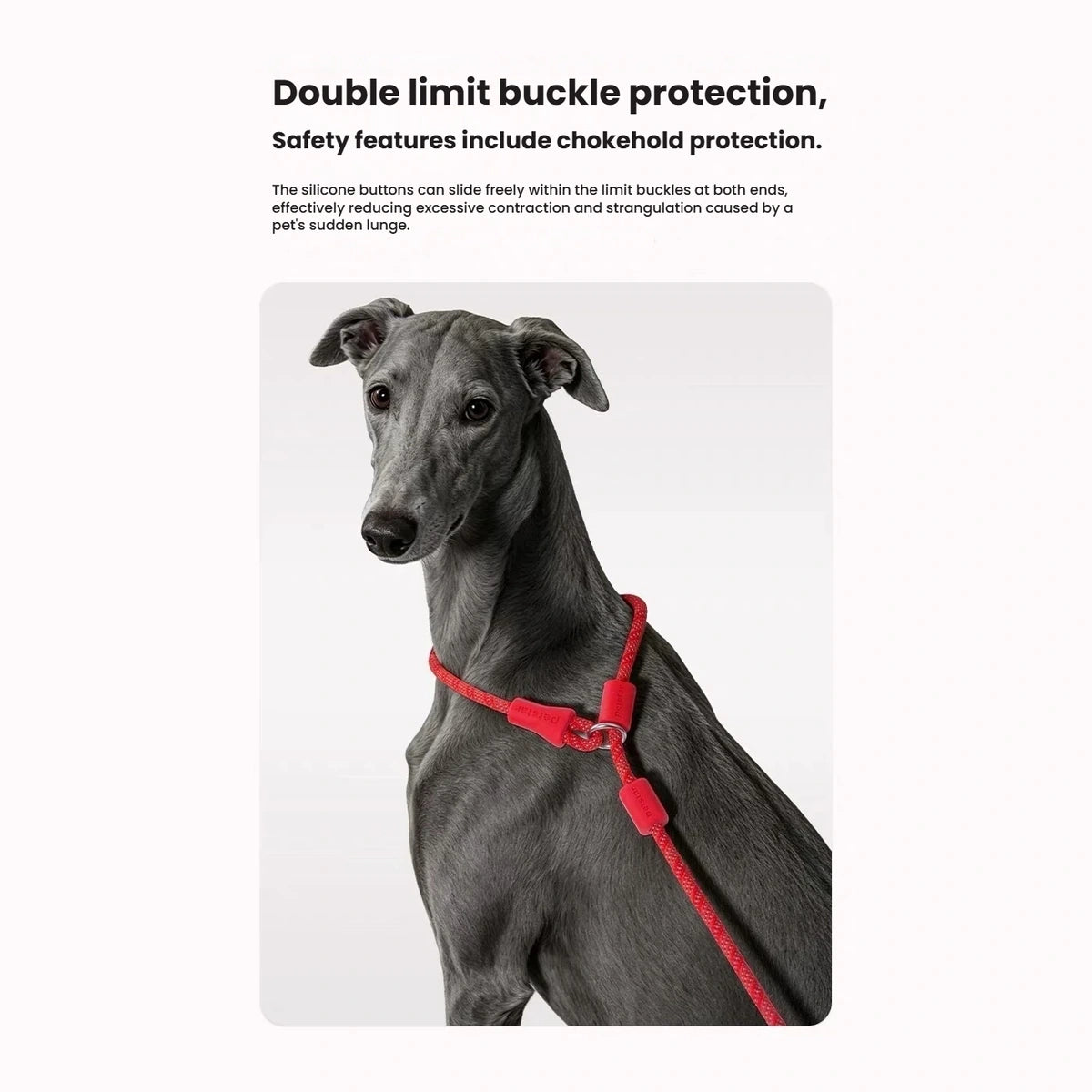 Close-up of the red Petstar slip lead neck loop and adjustable stops