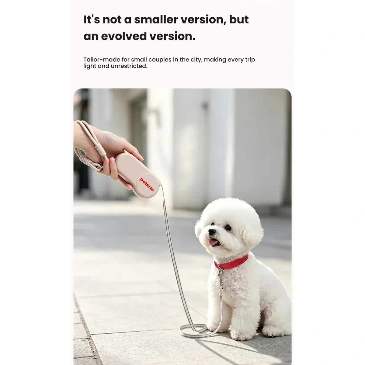 Petstar Mini Retractable Dog Lead – 2m, Up to 8kg