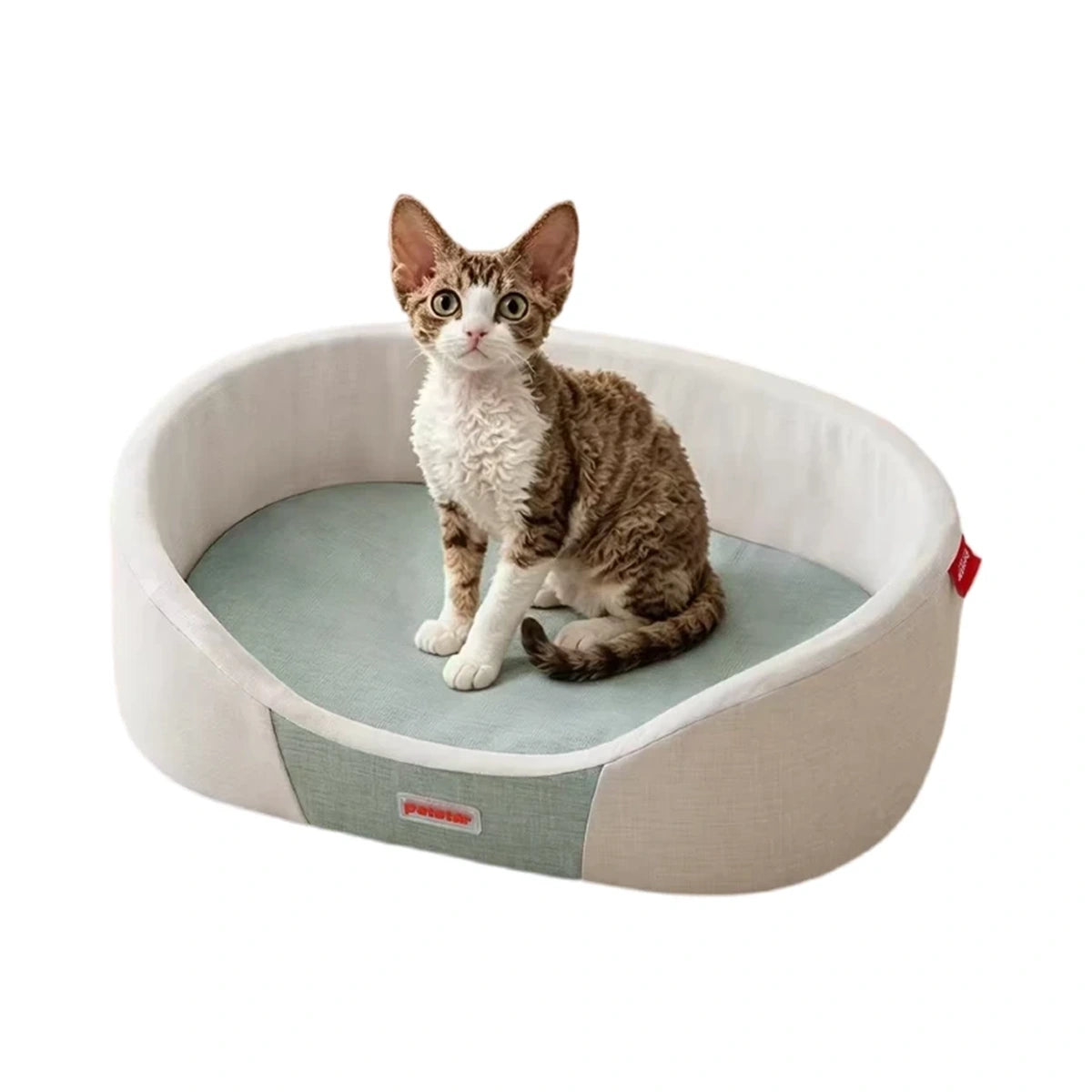 Cat sitting in a Petstar oval bed with pale sides and green cushion