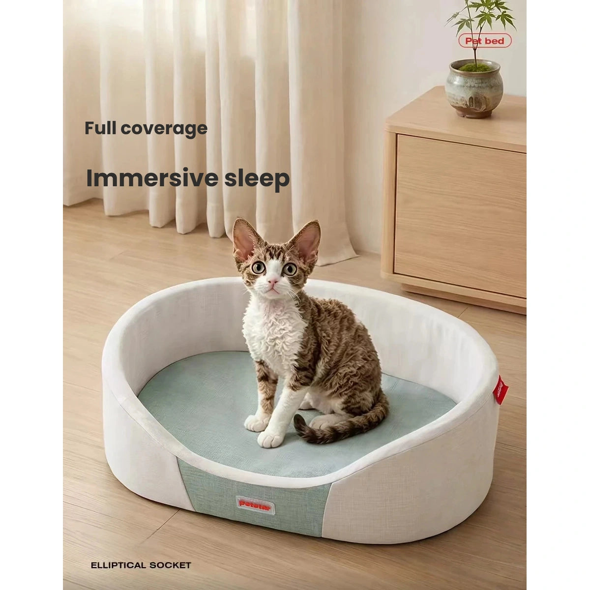 Petstar oval cat bed with a kitten seated on the cushion