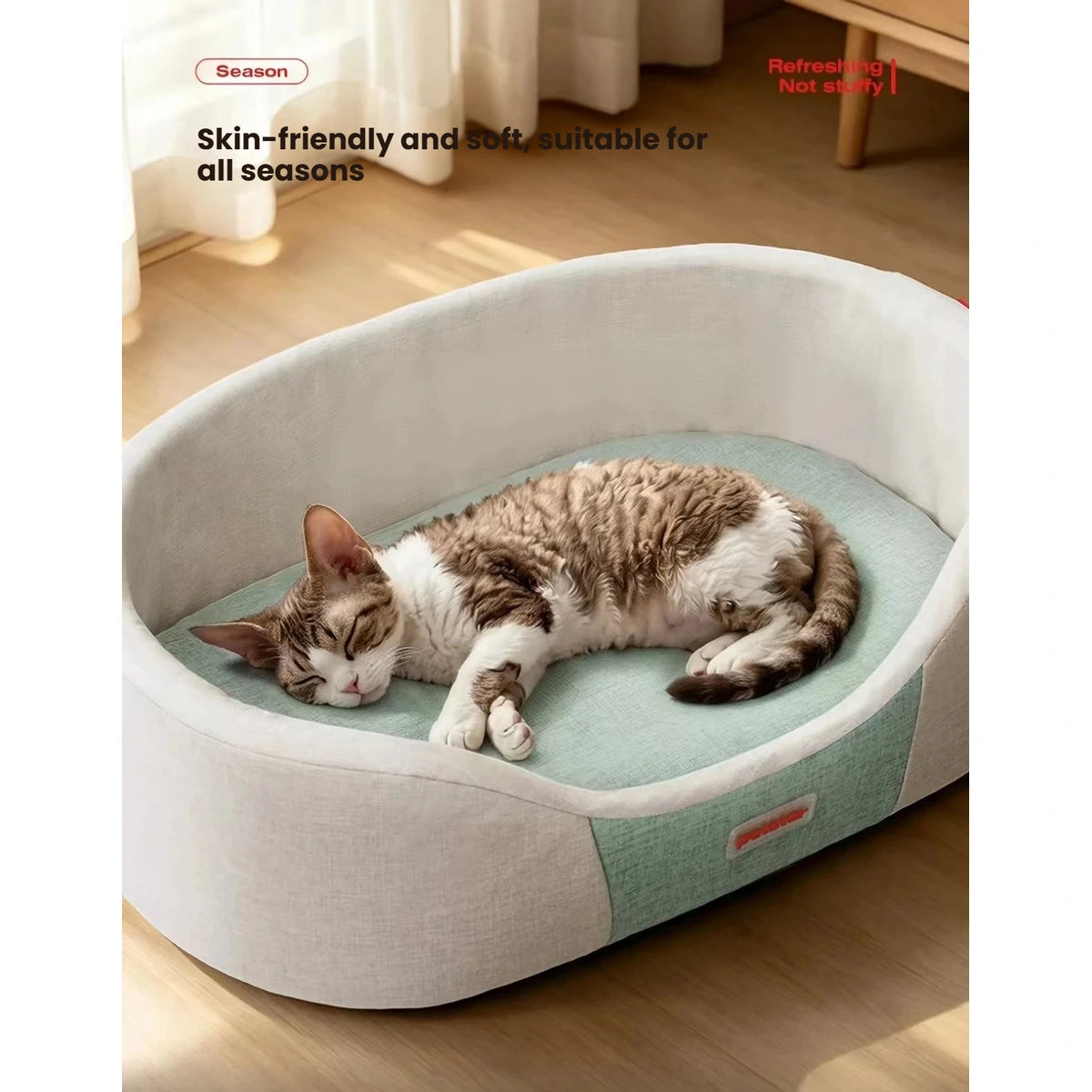 Cat sleeping on the green cushion inside a Petstar oval bed