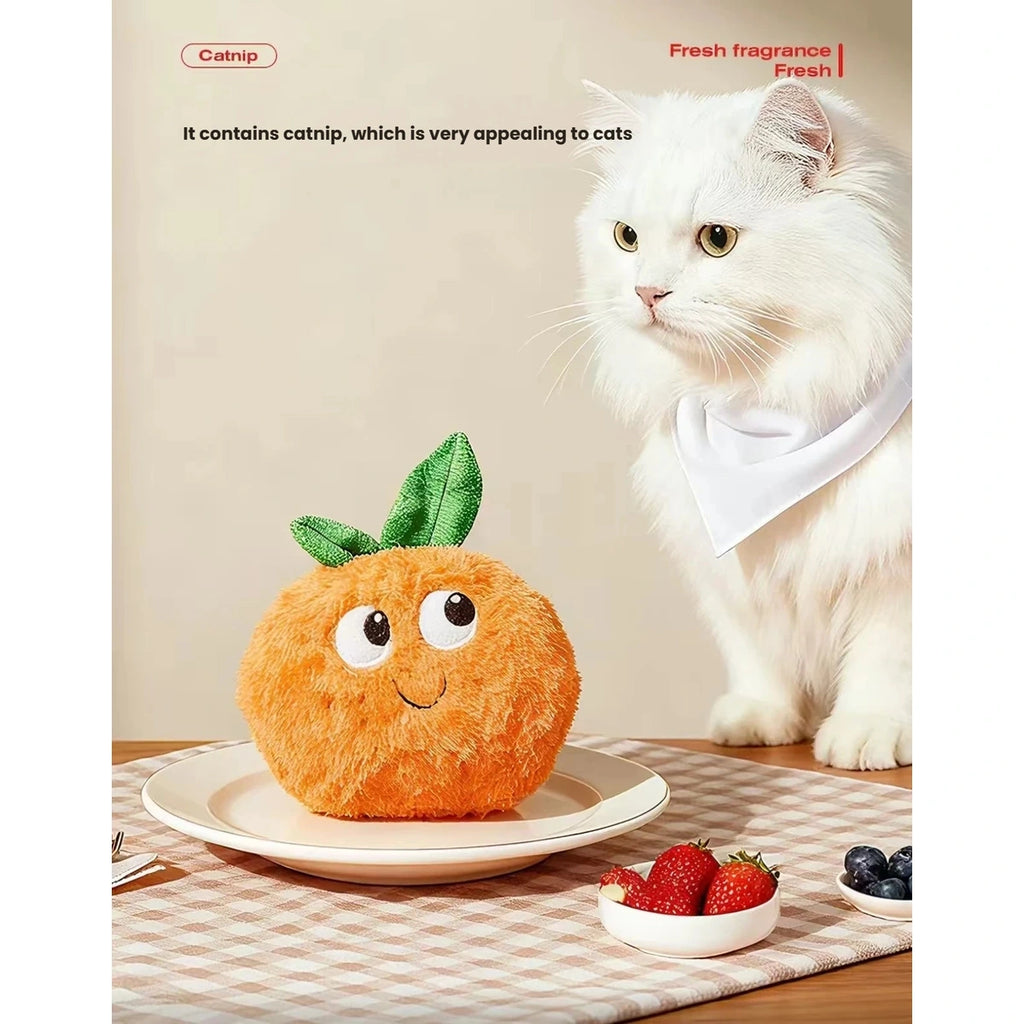 White cat beside the orange-shaped Petstar cat toy