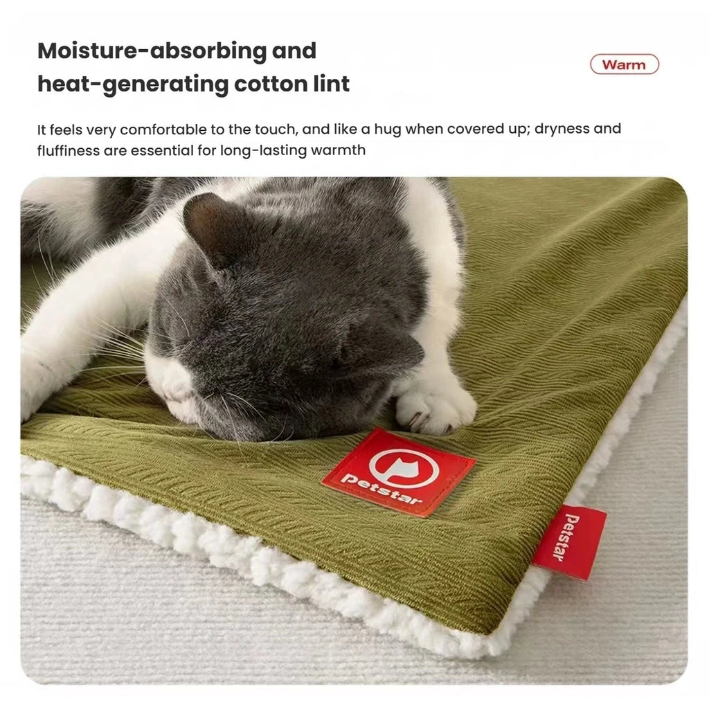 Cat on the double-sided Petstar blanket showing both textures