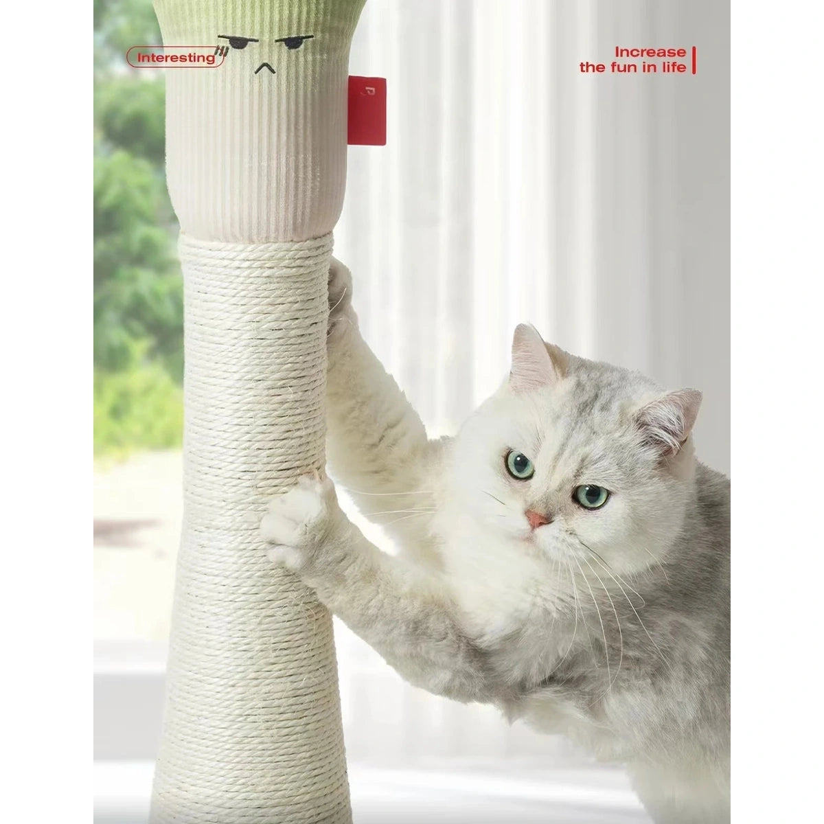 Cat scratching the post of the green onion Petstar cat tree