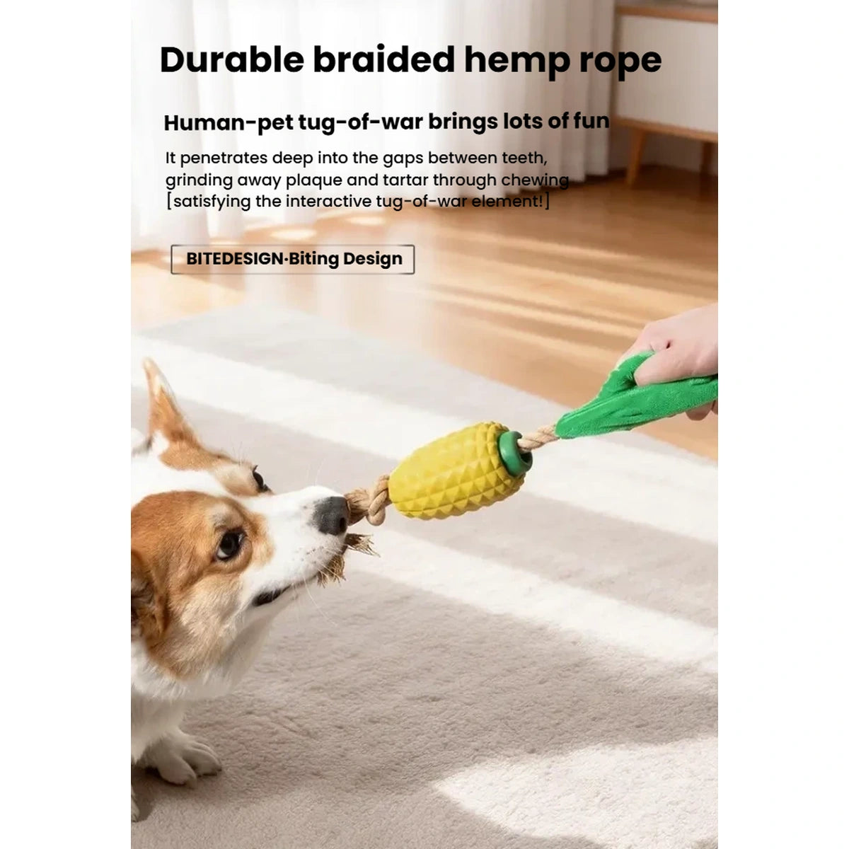 Dog tugging the braided rope on the corn-shaped chew toy