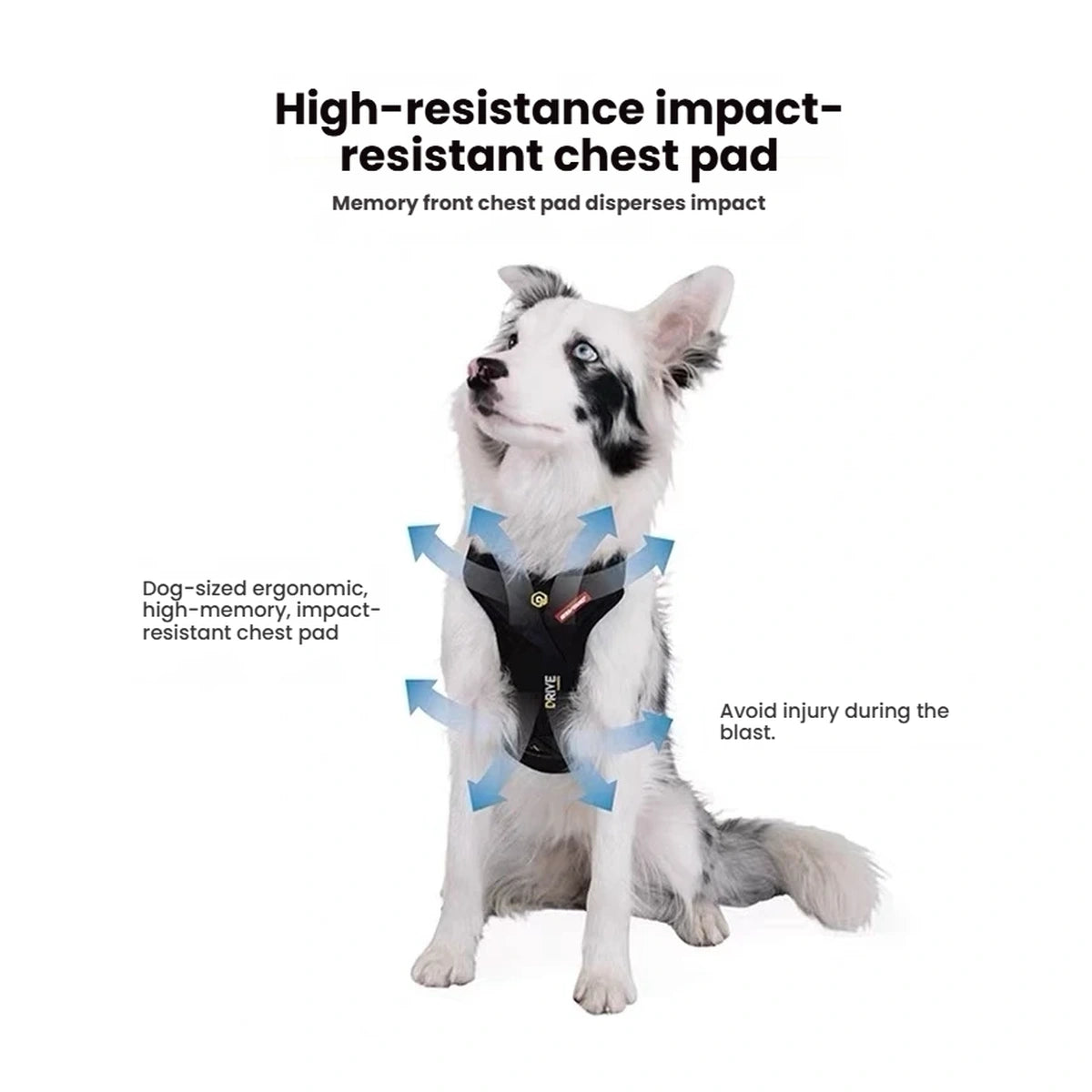 EzyDog Drive harness impact-resistant chest pad details