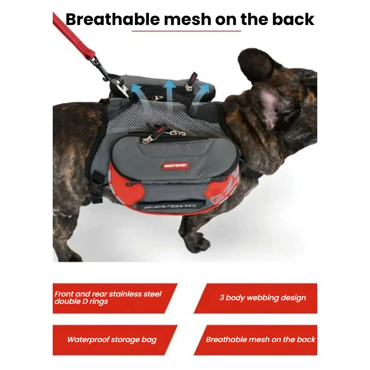 EzyDog Summit backpack showing breathable mesh and storage compartments