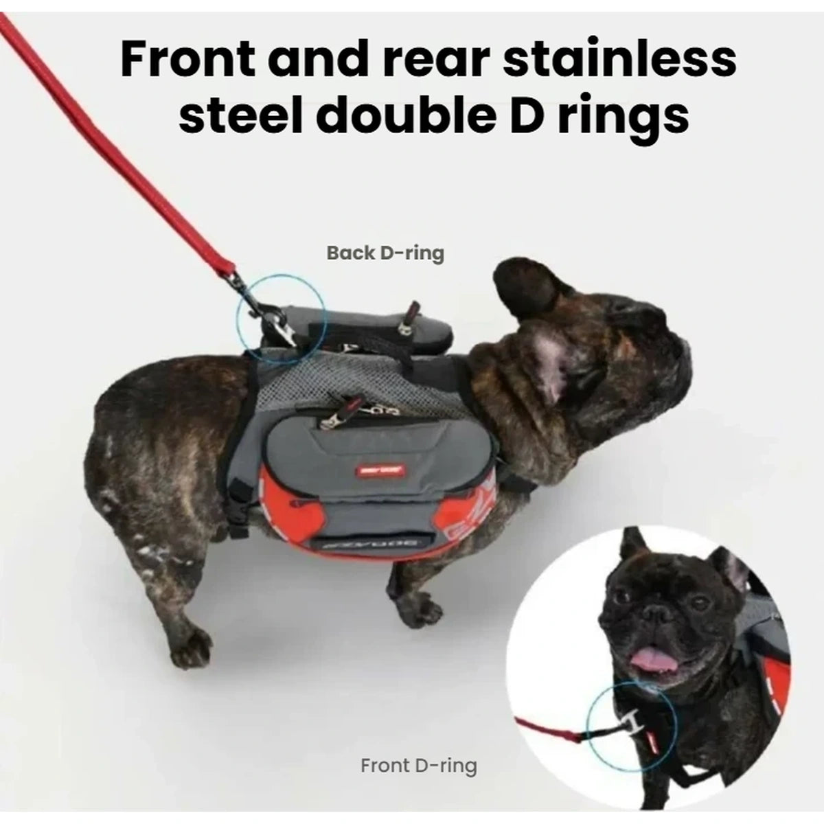 EzyDog Summit backpack showing front and rear leash attachment rings