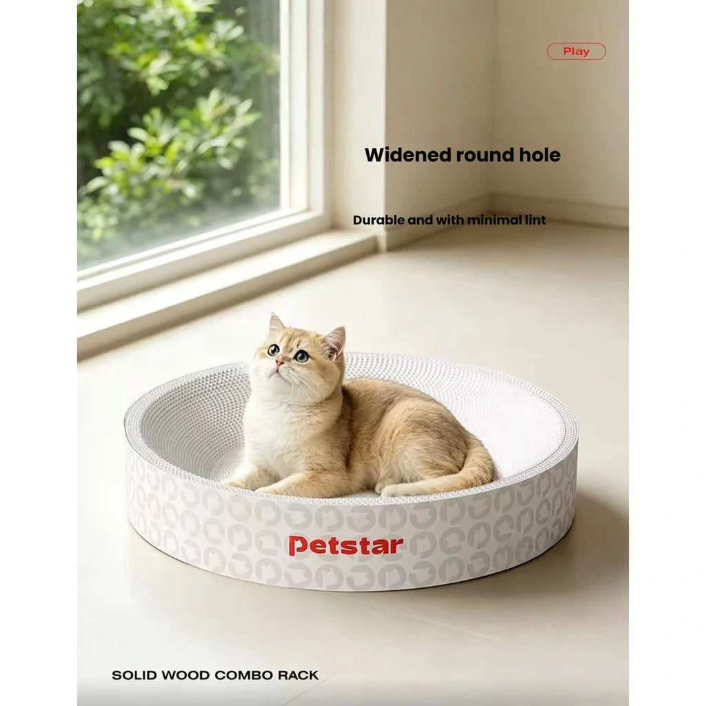 Cat lounging in the Petstar round scratcher bed by a window
