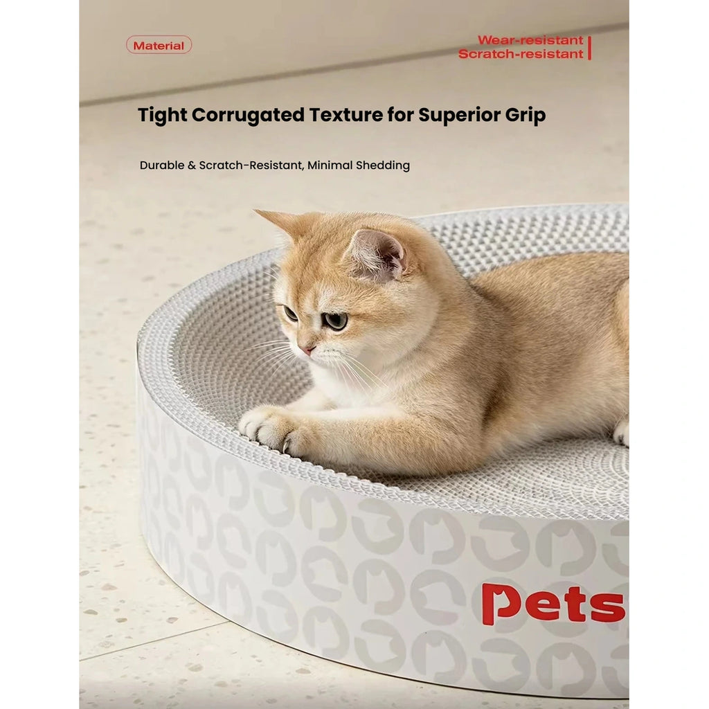 Cat resting on the corrugated surface of the Petstar scratcher bed