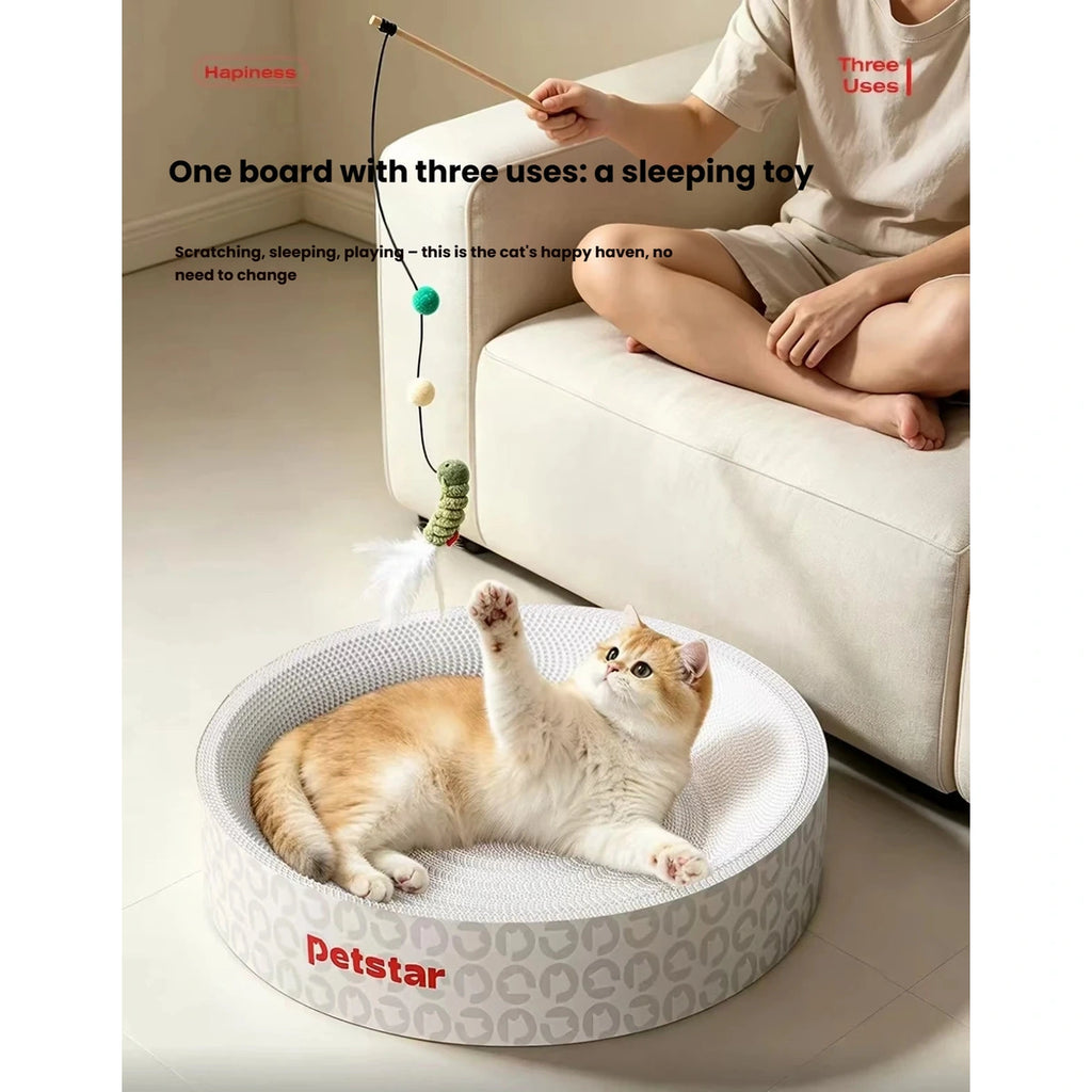 Cat using the round Petstar scratcher beside a sofa