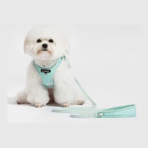 Small dog wearing the mint DOGNESS harness and leash set