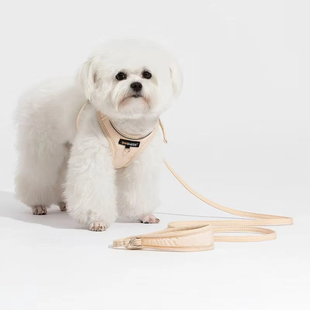 Small dog wearing the beige DOGNESS harness and leash set