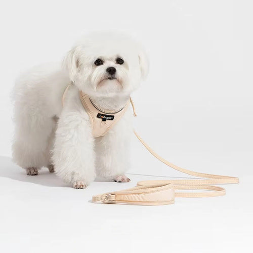 Small dog wearing the beige DOGNESS harness and leash set
