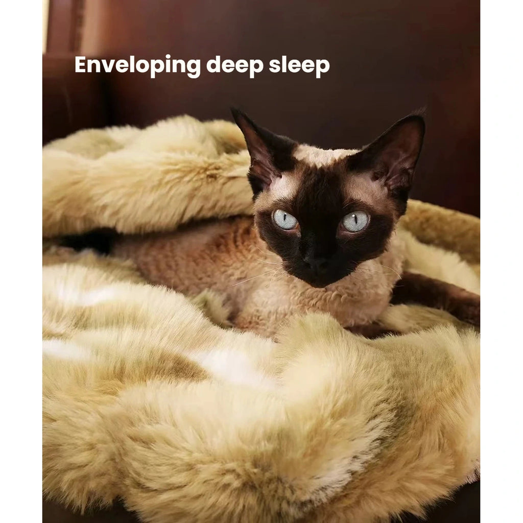 Cat sleeping beside the raised plush edge of the Petstar mat