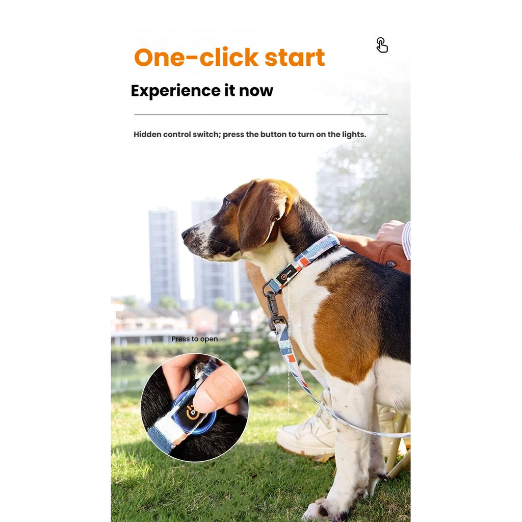 DOGNESS LED dog collar one-button lighting control