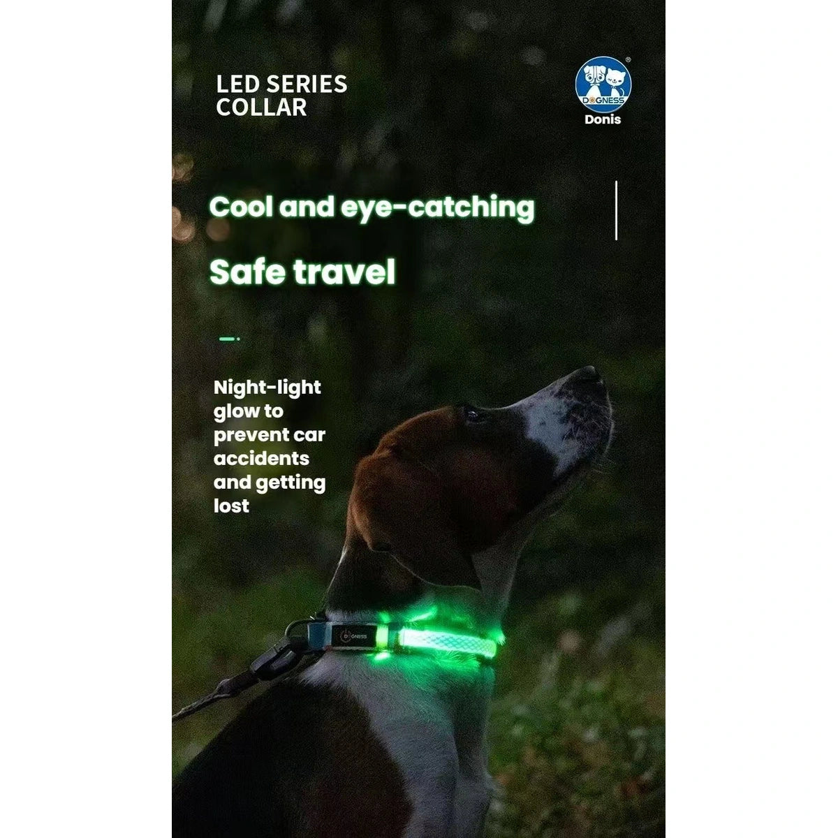 DOGNESS LED collar shown on a dog in low light