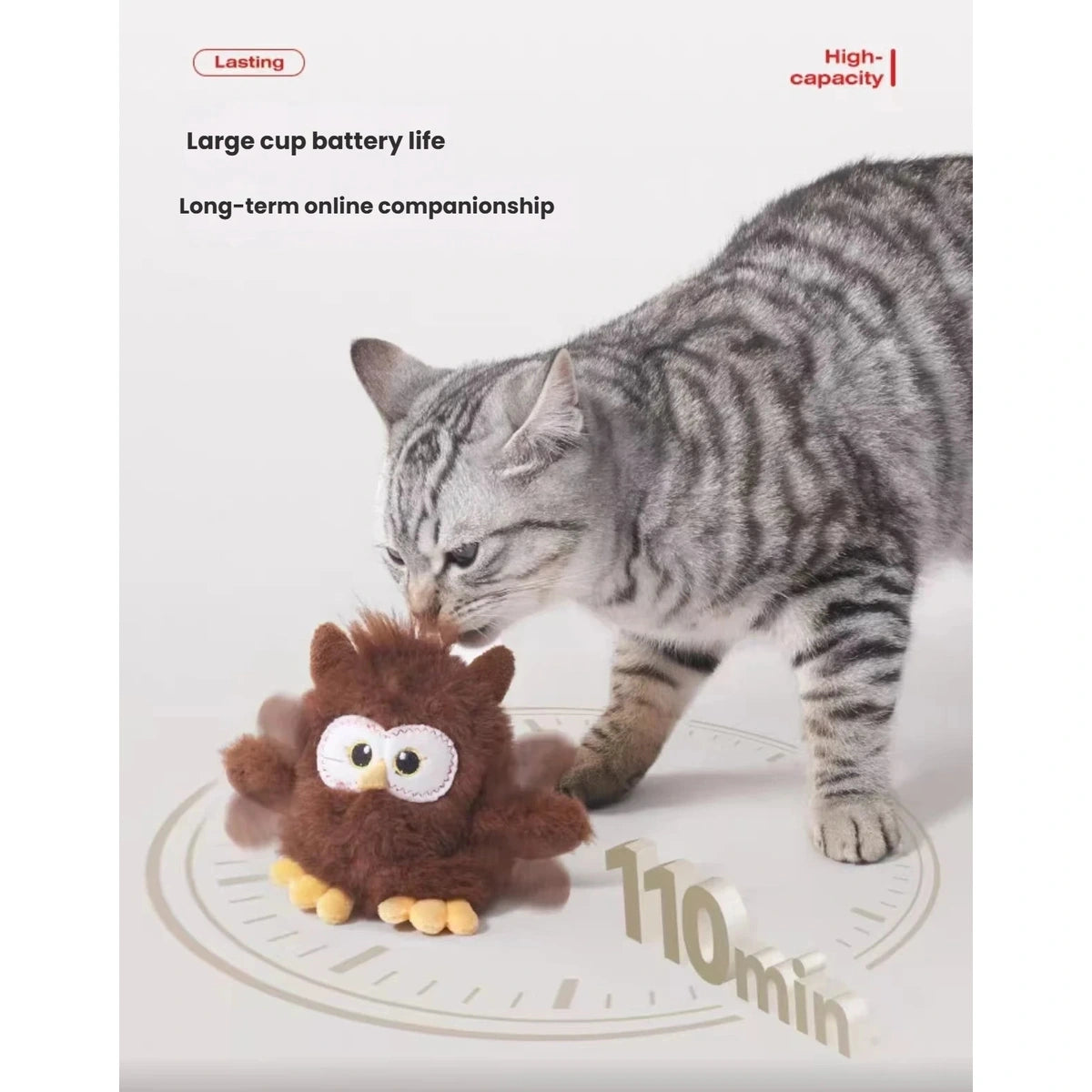 Cat following the rolling Petstar owl toy