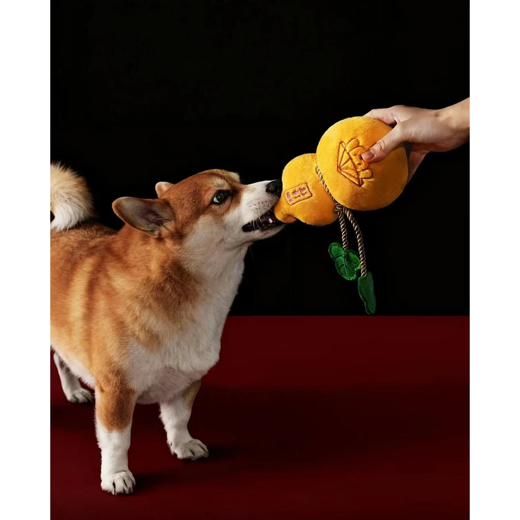 Small dog taking a Petstar gourd plush toy from a hand