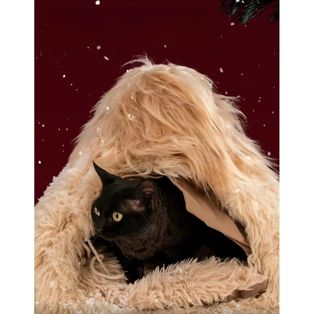 Cat peeking from the Petstar enclosed cave bed