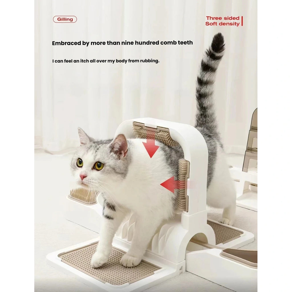Cat walking across the Petstar cat play station